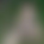 MetM58, Couple, 27 ans, Bouillon (3)